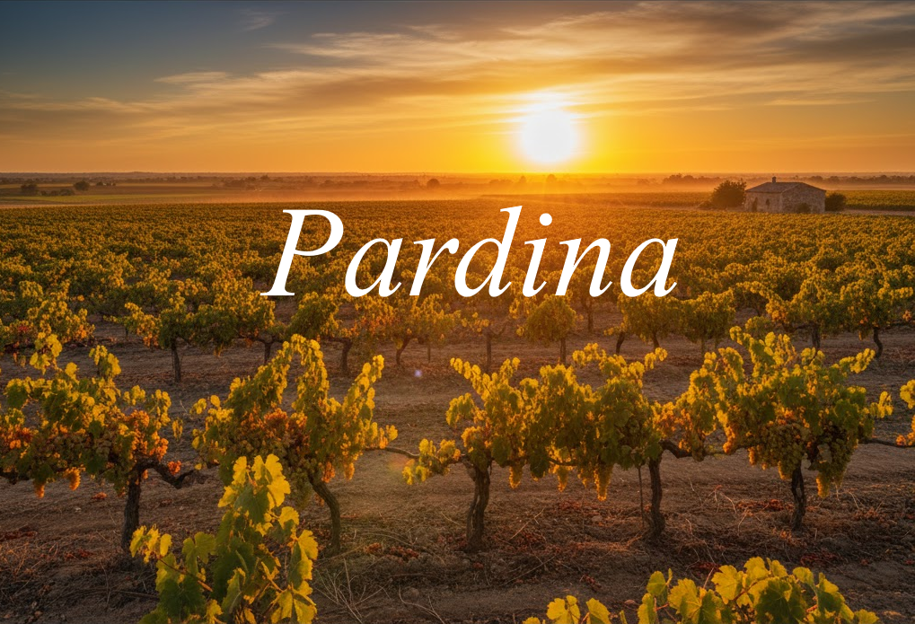 Viñedos Pardina llanuras Tierra Barros Extremadura ocaso