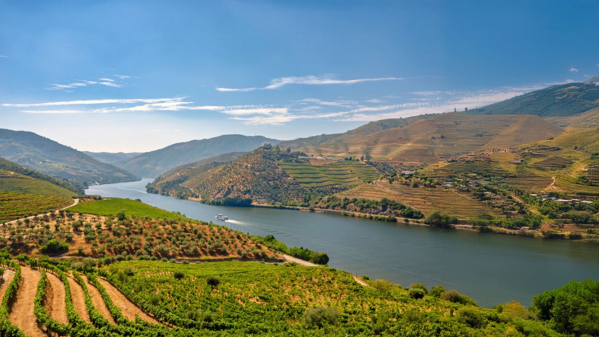 Paisaje dramático del Alto Duero con viñedos heroicos en terrazas de esquisto