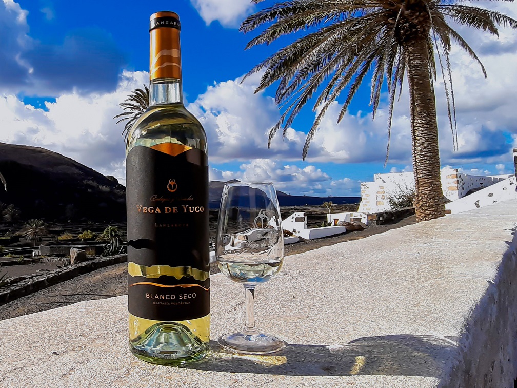 Copa de Malvasía Volcánica frente a paisaje volcánico y mar atlántico