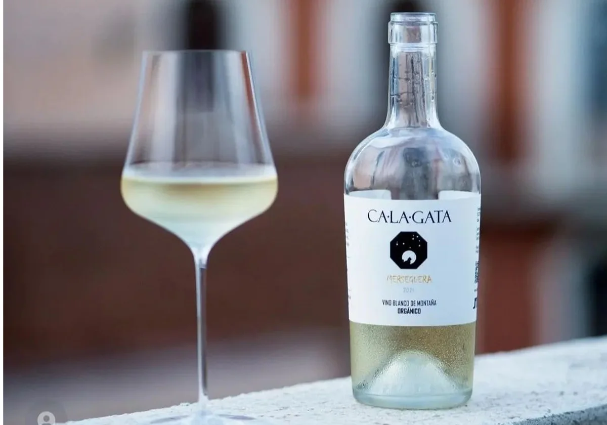 Copa Merseguera pajizo con burbujas finas de lías