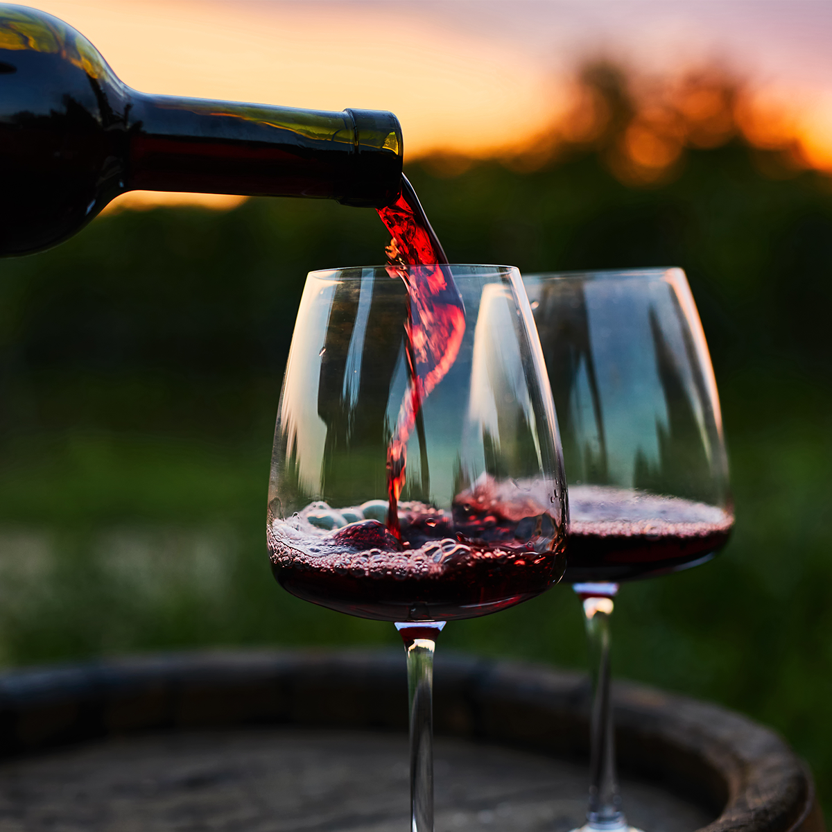 Copa Moravia Agria violácea capa media reflejos vivos