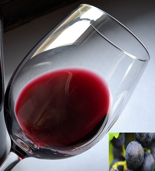 Copa de vino Tempranillo con color rojo profundo y reflejos granate