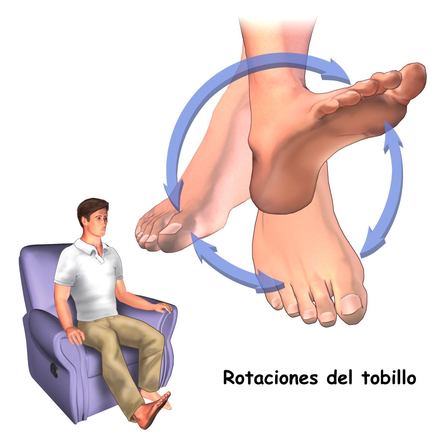 Secuencia técnica de rotaciones de tobillo: flexión, extensión, inversión y eversión