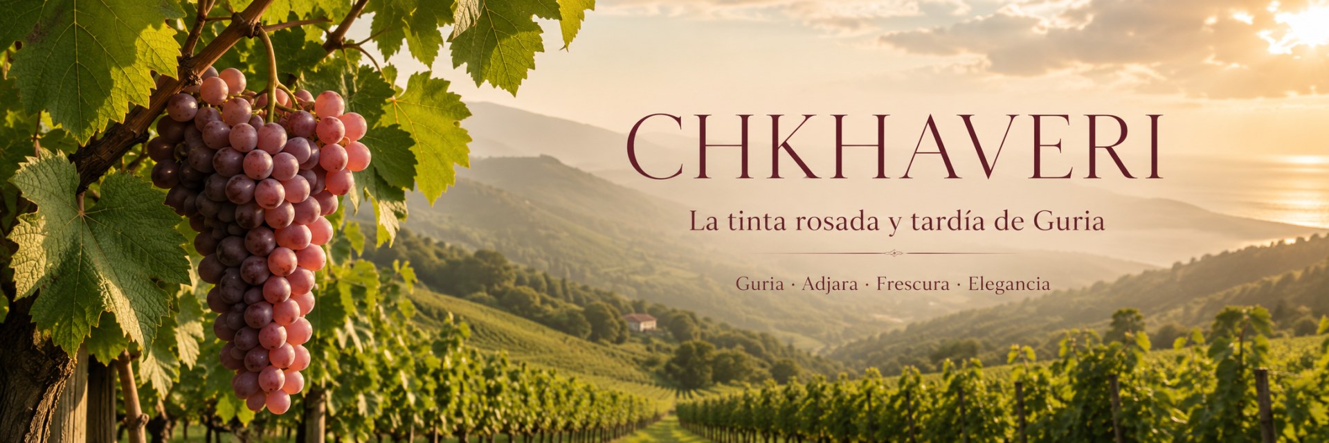 Viñedo de Chkhaveri en las colinas húmedas de Guria, Georgia