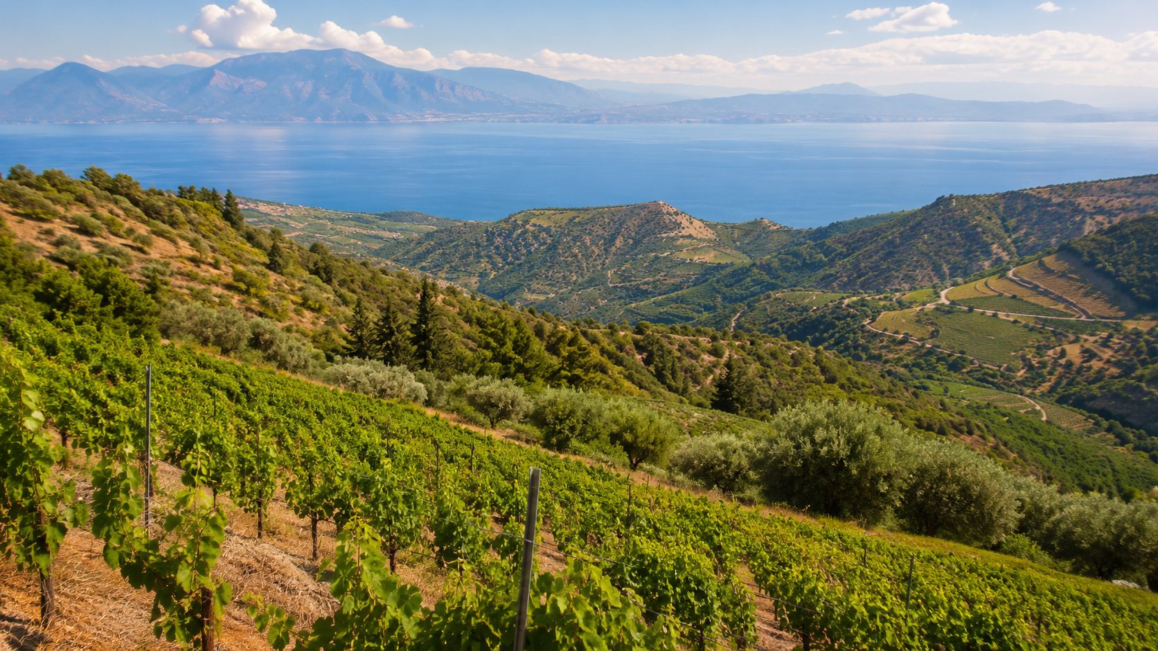 Lagorthi: viñedo y uvas en su territorio de referencia