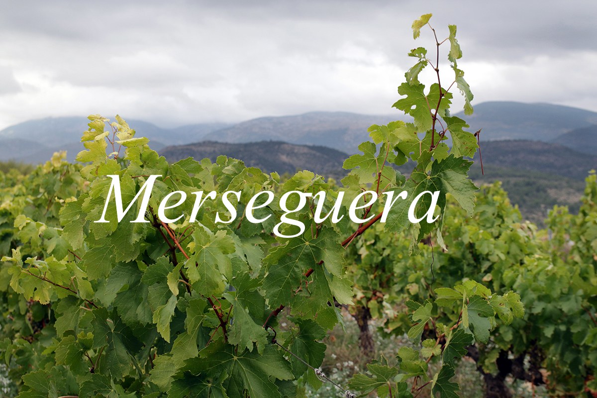 Viñedos de Merseguera en el interior mediterráneo valenciano
