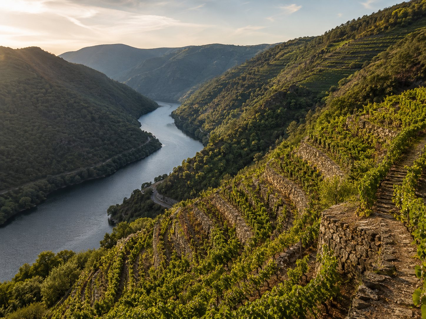 Laderas de viñedo en Ribeira Sacra