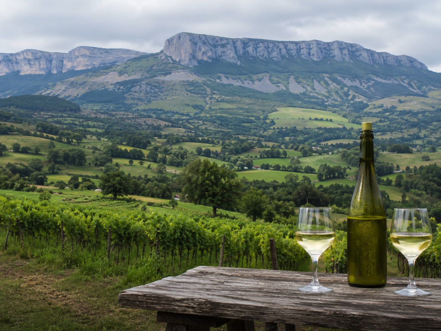 Viñedos de Arabako Txakolina en la comarca alavesa de Ayala