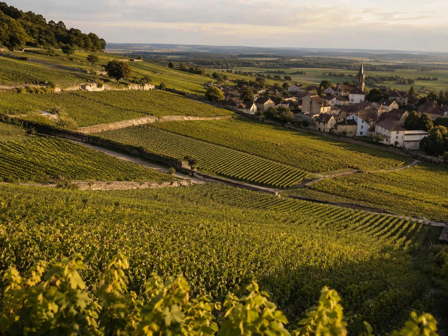 Climats y viñedos de Borgoña en laderas con pueblos históricos