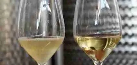 Mosto de uva en proceso de desfangado durante la elaboración de vino blanco