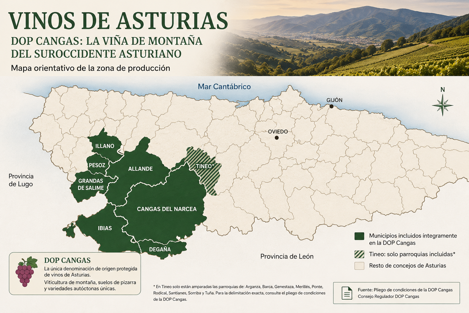 Mapa orientativo de la DOP Cangas en el suroccidente de Asturias con Cangas del Narcea, Allande, Degaña, Grandas de Salime, Ibias, Illano, Pesoz y Tineo