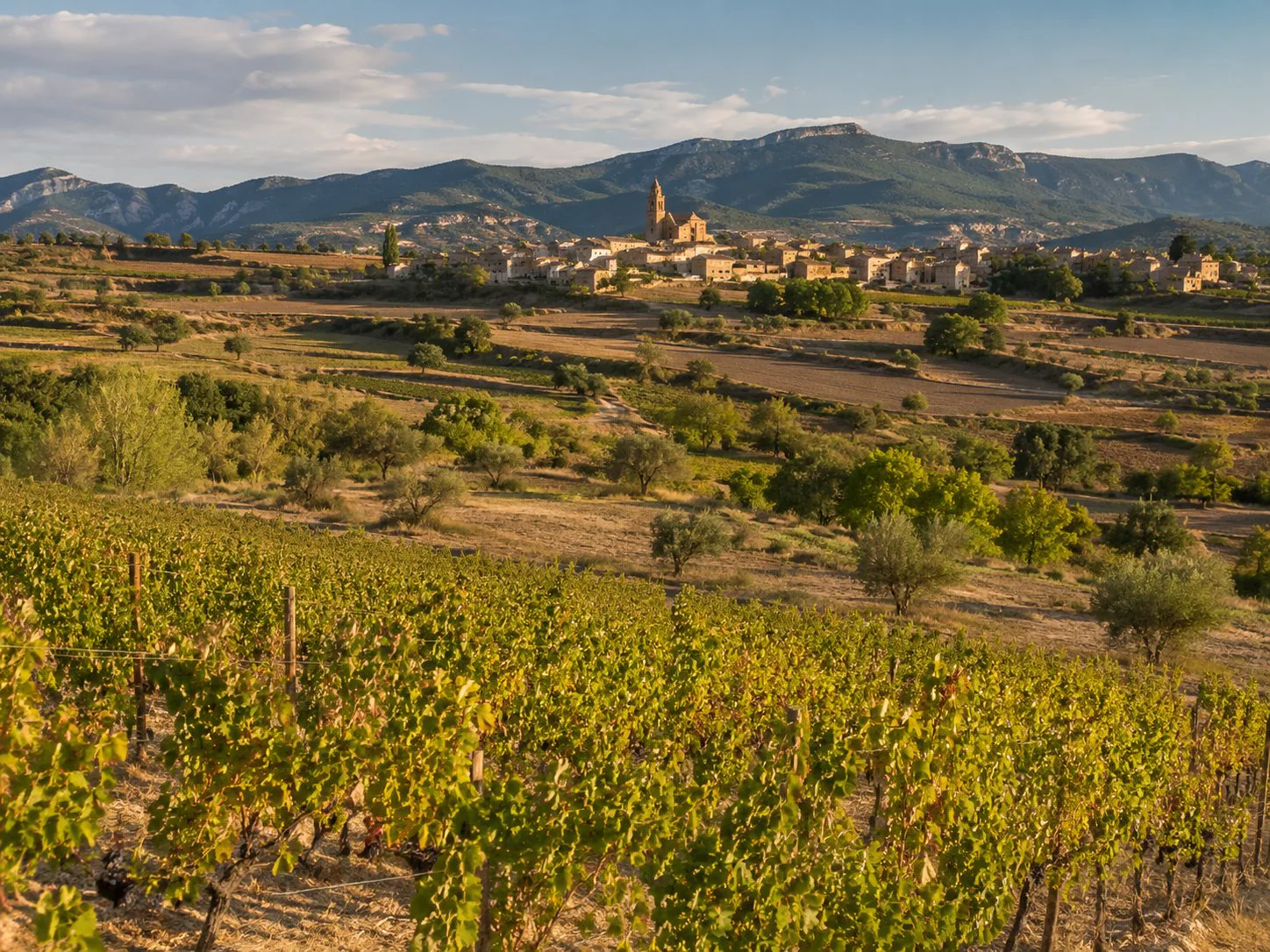 Viñedos de Baja Montaña en Navarra con laderas, pequeños pueblos y paisaje prepirenaico