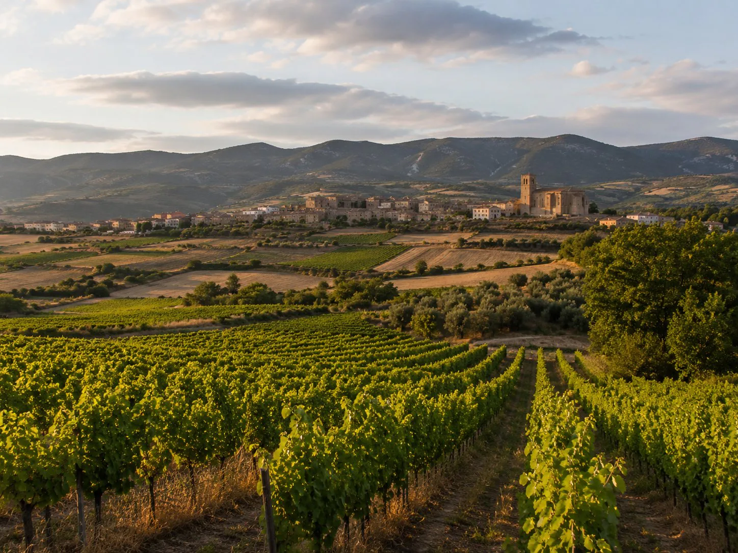 Viñedos de Tierra Estella con Montejurra, laderas y pueblos del Camino de Santiago