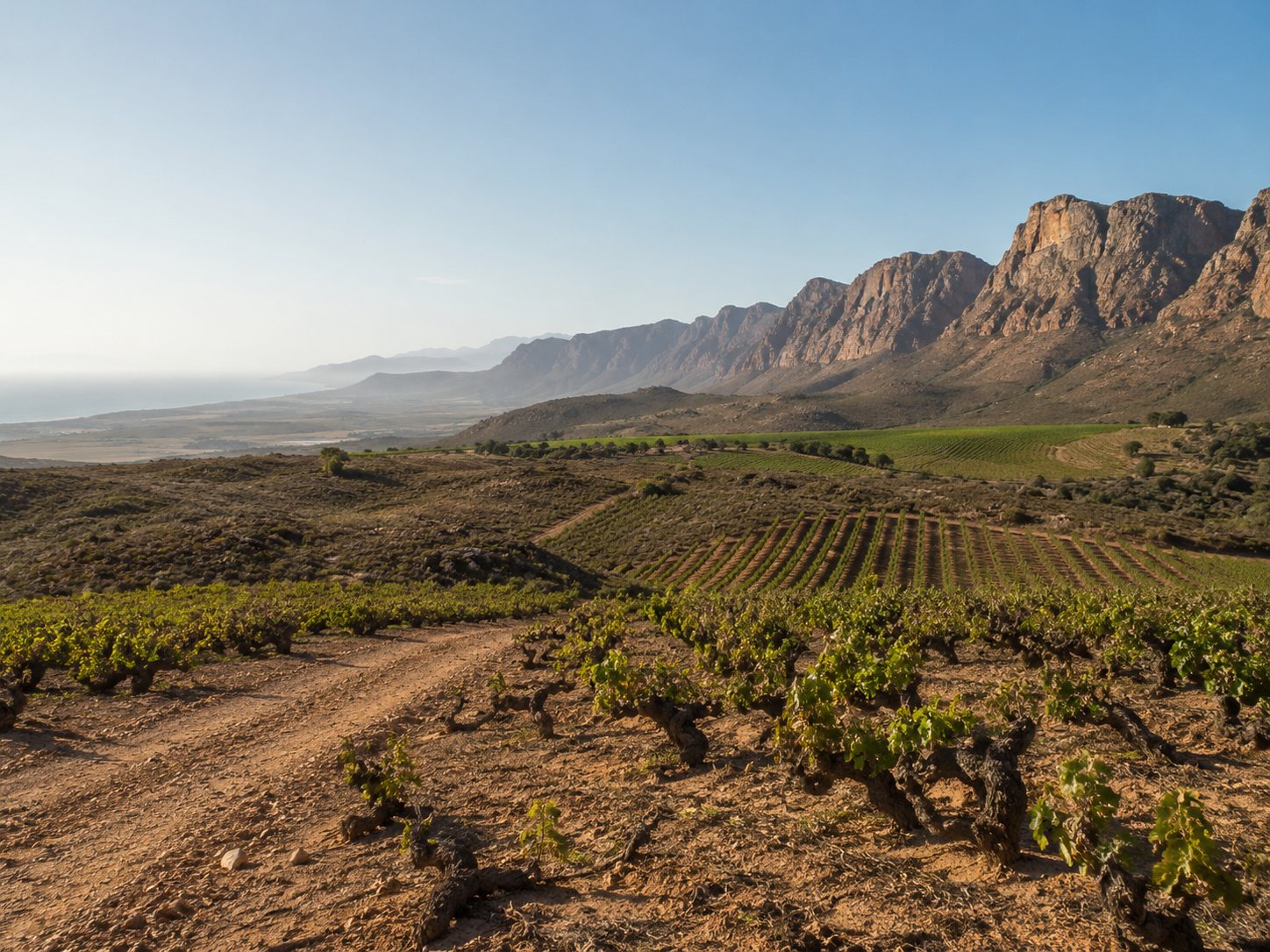 Viñedos del Olifants River y Cederberg entre montañas y clima seco