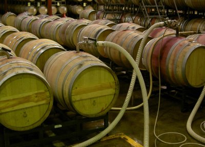 Trasiego del vino para separar el líquido limpio de las lías y sedimentos antes de clarificar o filtrar