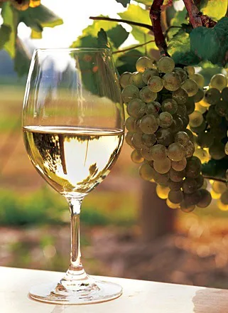 Copa de vino blanco Chardonnay