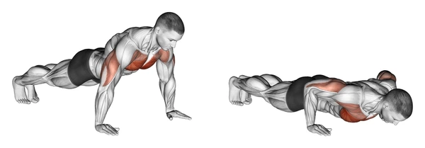 Ayuda visual de Flexiones