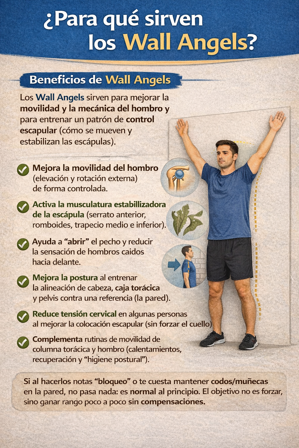 5. Ejecución paso a paso