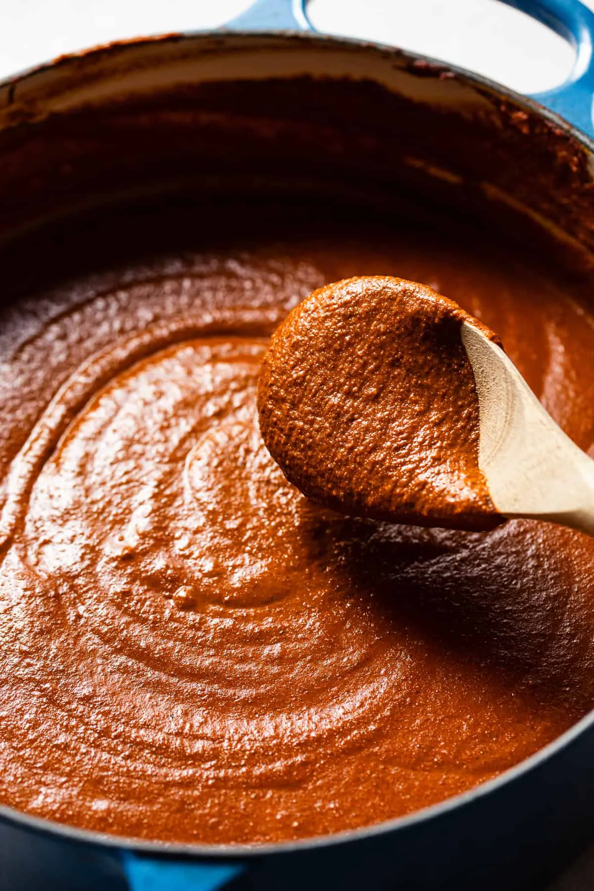 Mole poblano casero